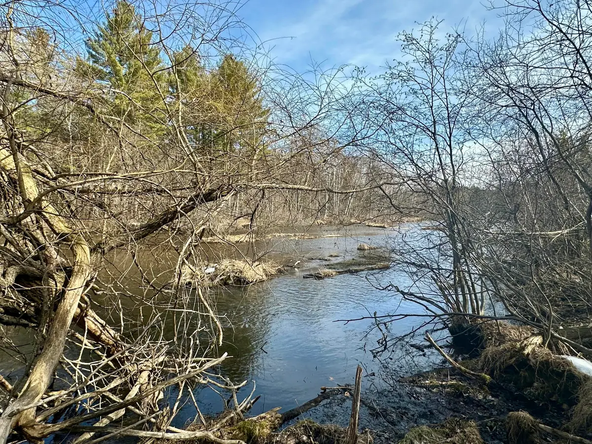 1.10 AC Twin Bridge Road, Grayling, MI 49738 - #1