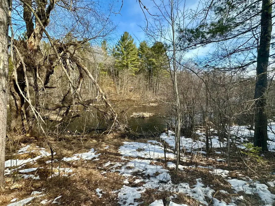 1.10 AC Twin Bridge Road, Grayling, MI 49738 - #3