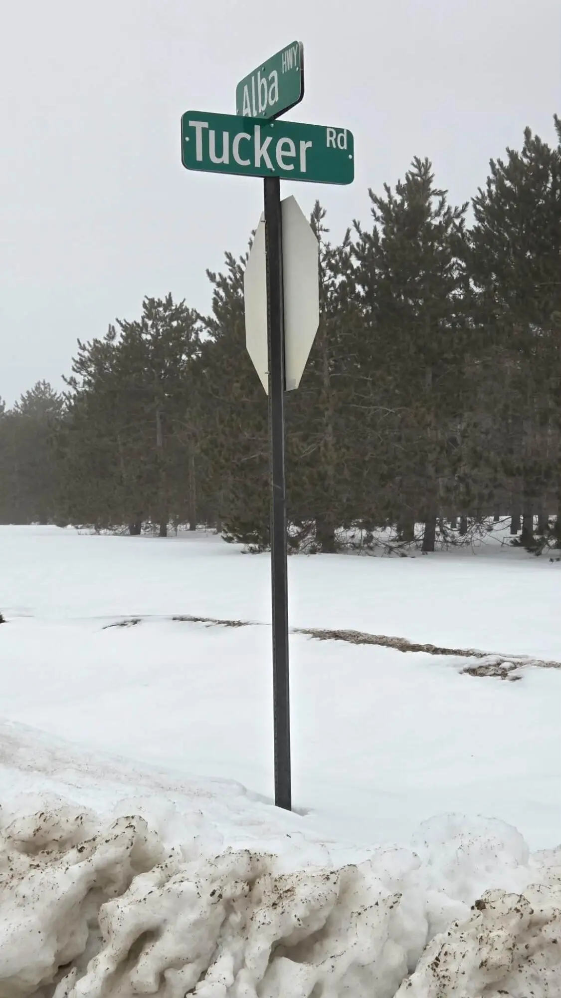 Par A-B Tucker Road, Elmira, MI 49730 - #1