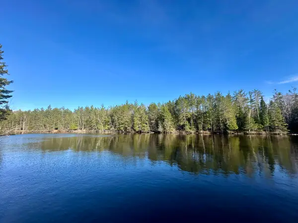 26 AC Connon Road, Hillman, MI 49746