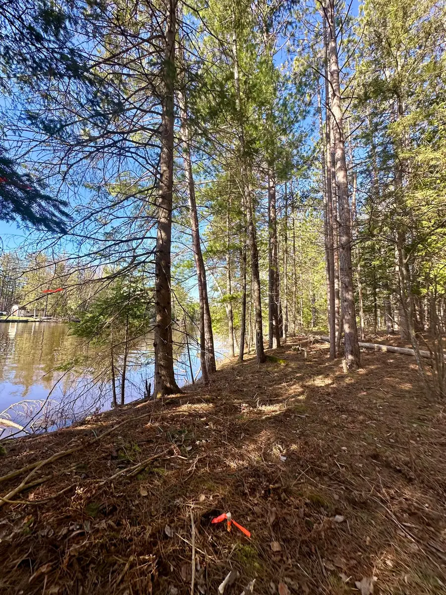 26 AC Connon Road, Hillman, MI 49746 - #3