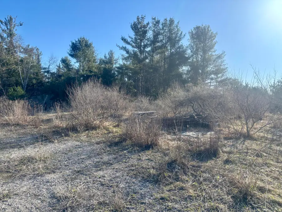 9607 M 33, Onaway, MI 49765 - #3