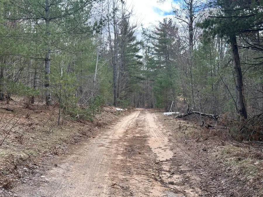 10 AC Redpoll Trail, Gaylord, MI 49735 - #2
