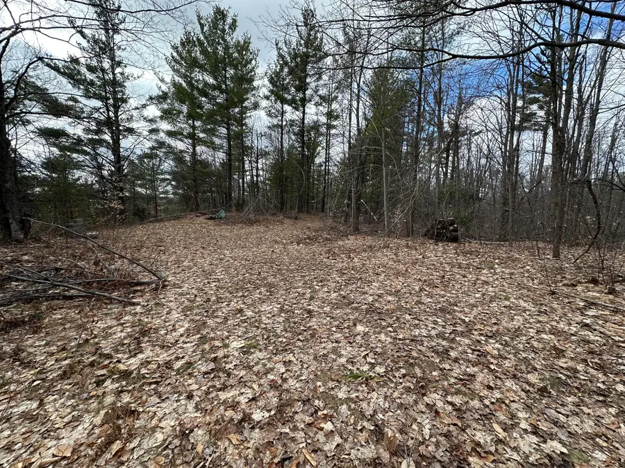 10 AC Redpoll Trail, Gaylord, MI 49735 - #3
