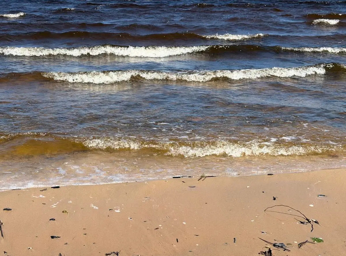 1100 S State Avenue, Alpena, MI 49707 - #1