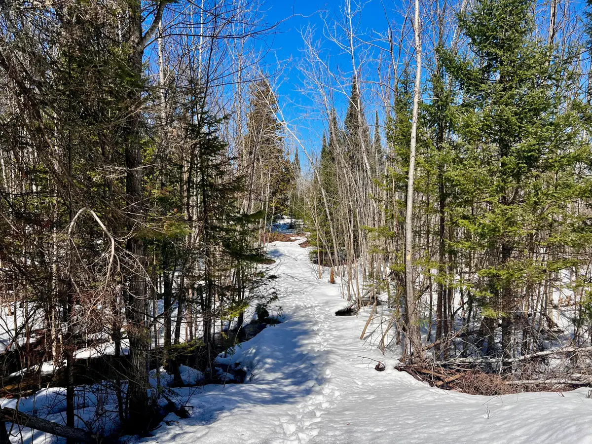 40.44 AC Zolner Road, Cheboygan, MI 49721 - #1