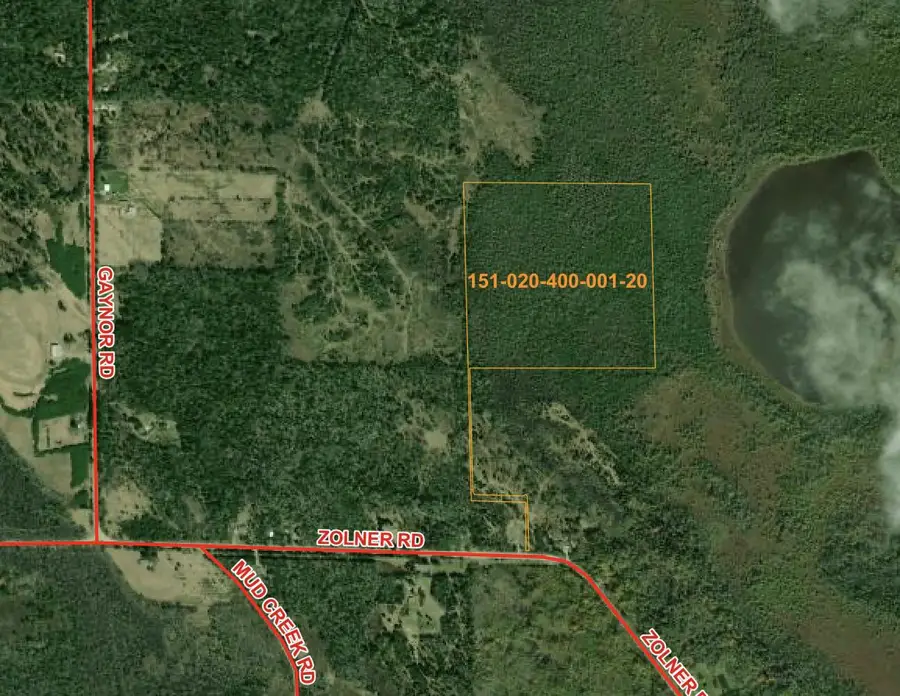 40.44 AC Zolner Road, Cheboygan, MI 49721 - #2