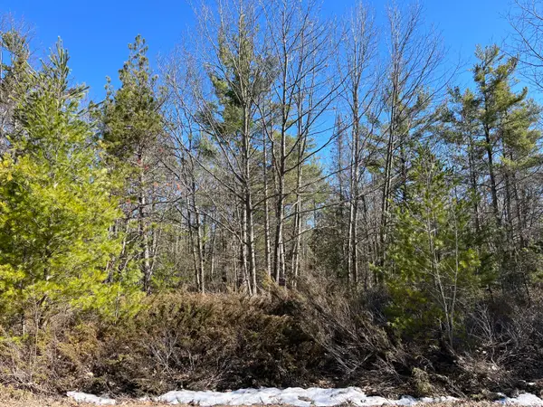 L 403-404 Woodhaven Circle, Presque Isle, MI 49777