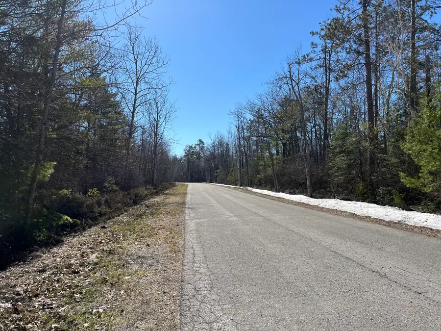 L 403-404 Woodhaven Circle, Presque Isle, MI 49777 - #3