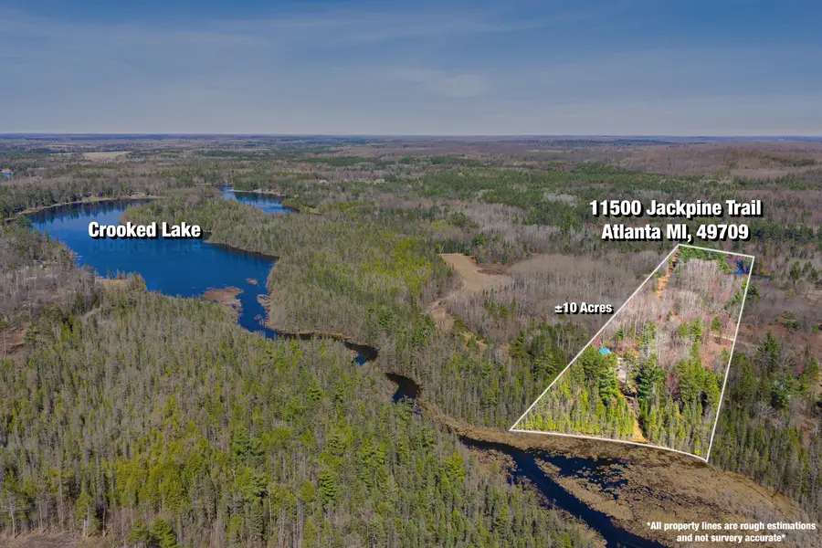 11500 Jackpine Trail, Atlanta, MI 49709 - #2