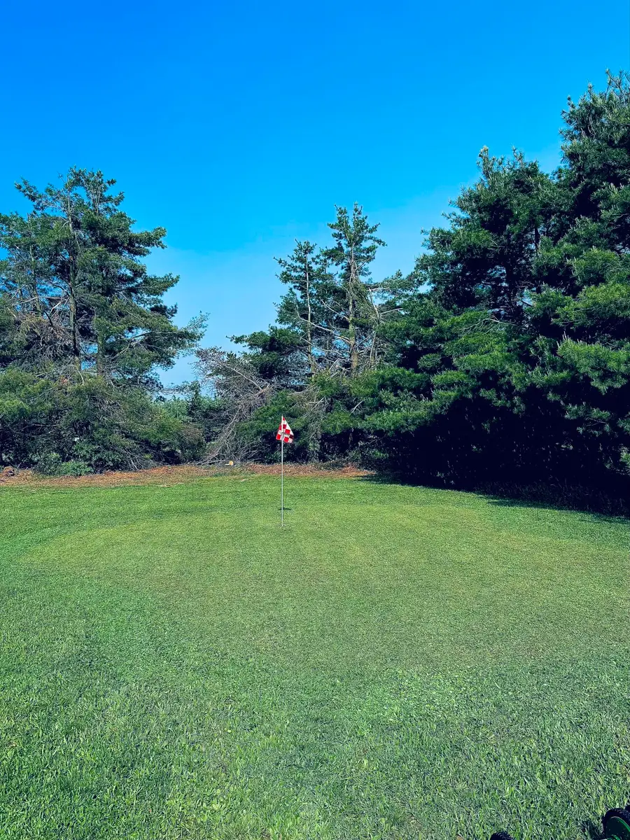 360 Estelle Road, Gaylord, MI 49735 - #3