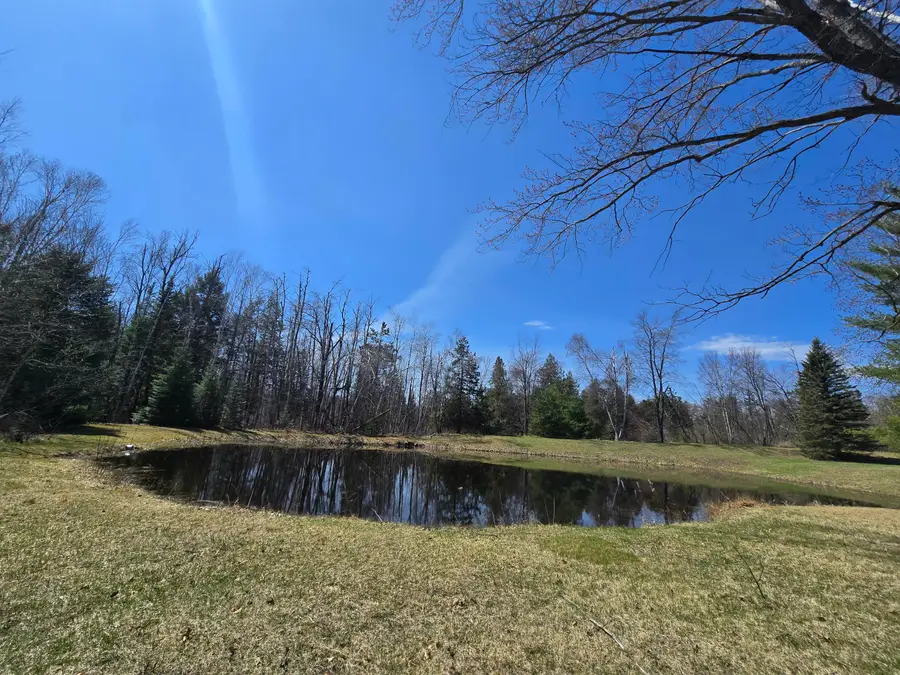 3625 Weaver Road, Comins, MI 48619 - #3