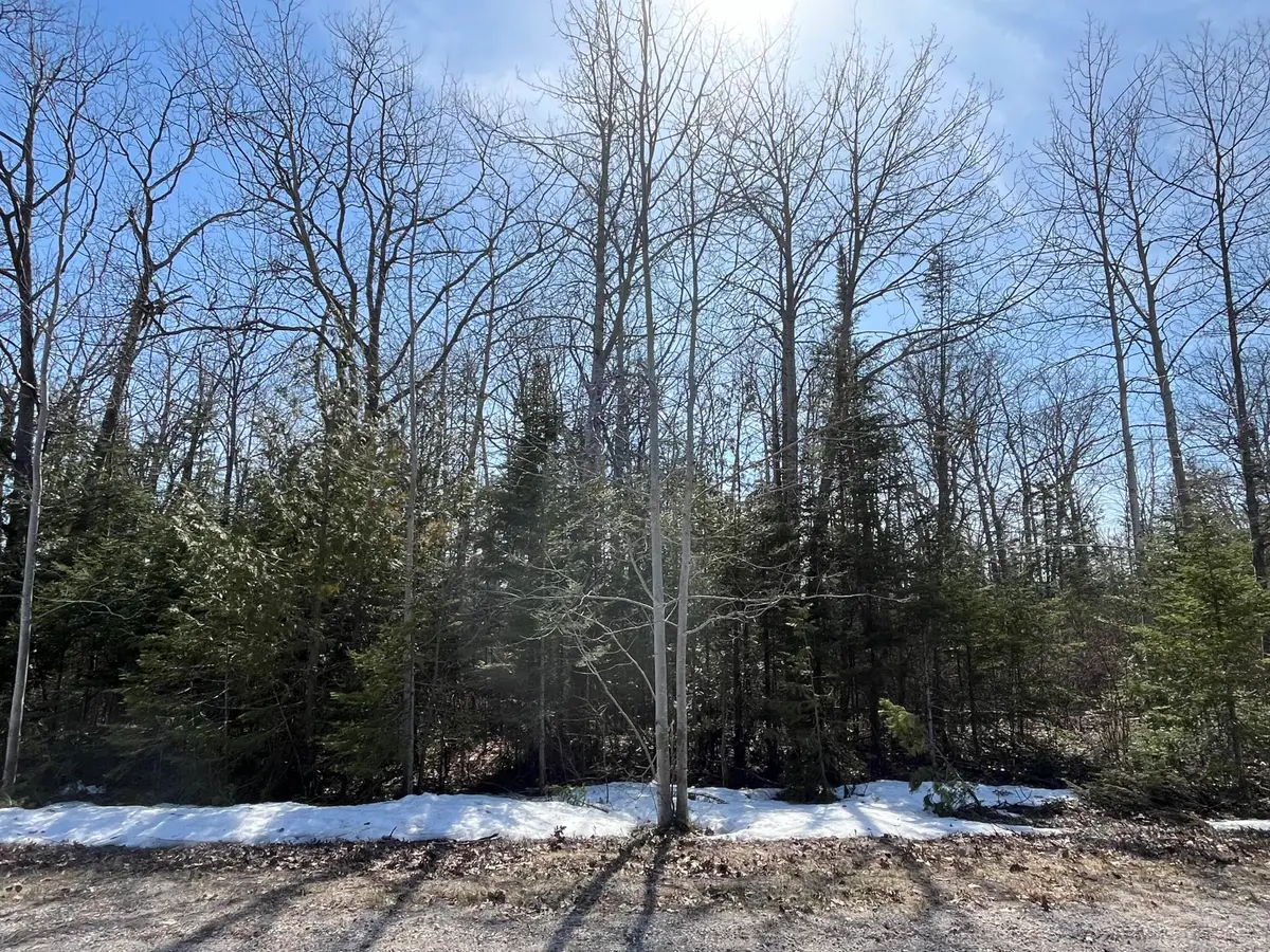 Lot 34 Pine Street, Presque Isle, MI 49777 - #1