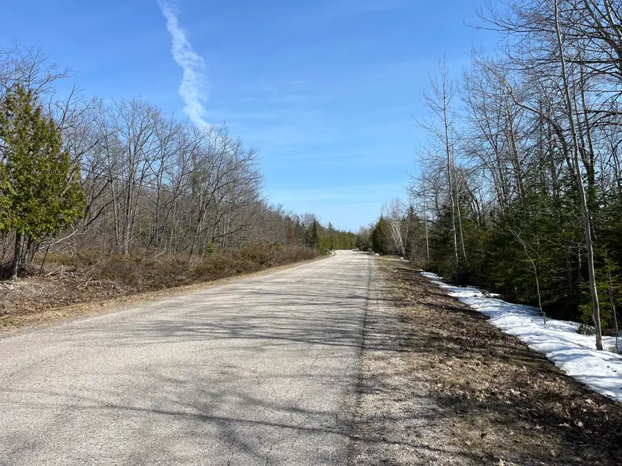 Lot 34 Pine Street, Presque Isle, MI 49777 - #3