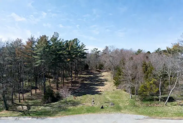 113200 Congdon Road, Wolverine, MI 49799