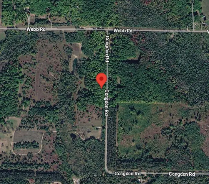 113200 Congdon Road, Wolverine, MI 49799 - #3