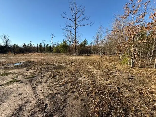 3910 Timber Trail Court, Lewiston, MI 49756 - #3