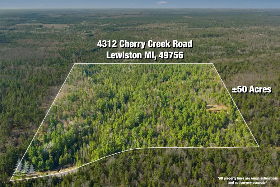 4312 W Cherry Creek Road, Lewiston, MI 49756 - #3