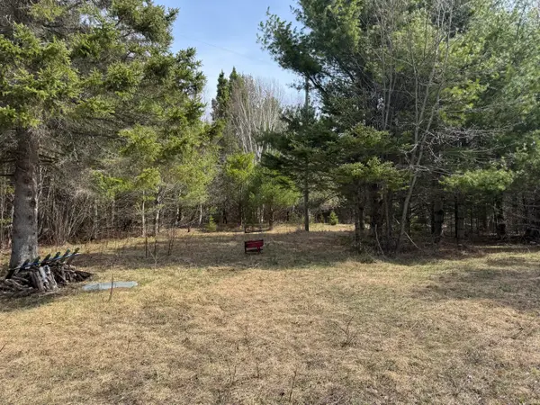 10736 Jones Boulevard, Carp Lake, MI 49718