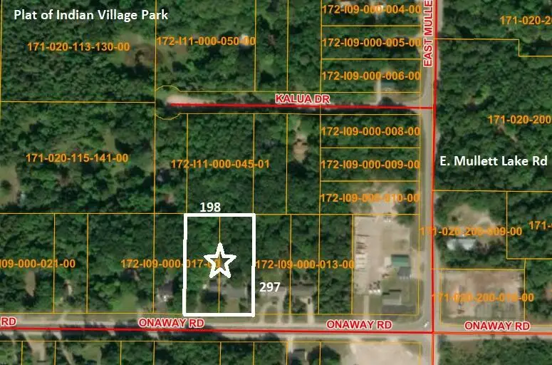 4596 Onaway Road, Indian River, MI 49749 - #2