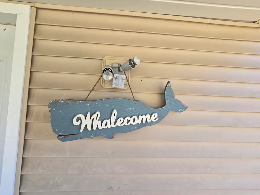 413 Deyarmond Street, Mio, MI 48647 - #3