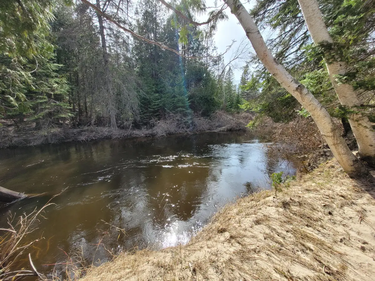 14581 N River Lane, Millersburg, MI 49759 - #1