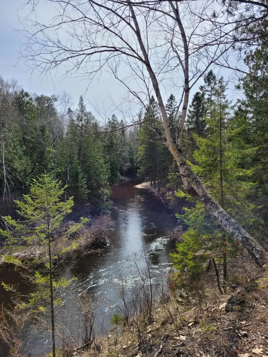 14581 N River Lane, Millersburg, MI 49759 - #3