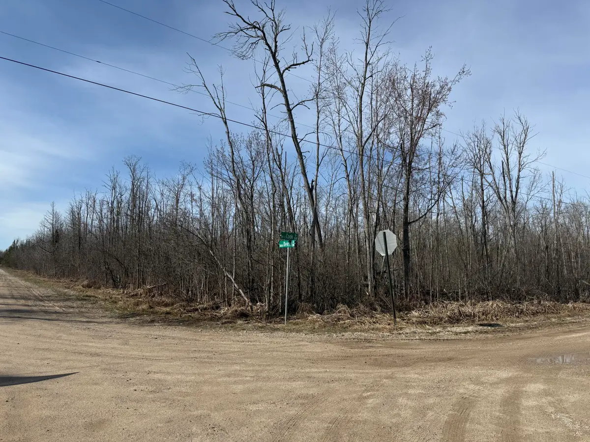 .37 acres Dekruif Road, Levering, MI 49755 - #1