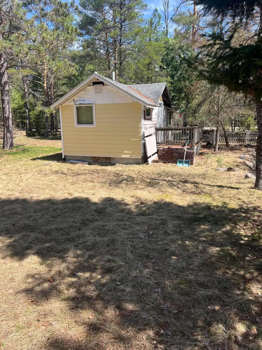 9761 Twin Bridge Road, Grayling, MI 49738 - #3