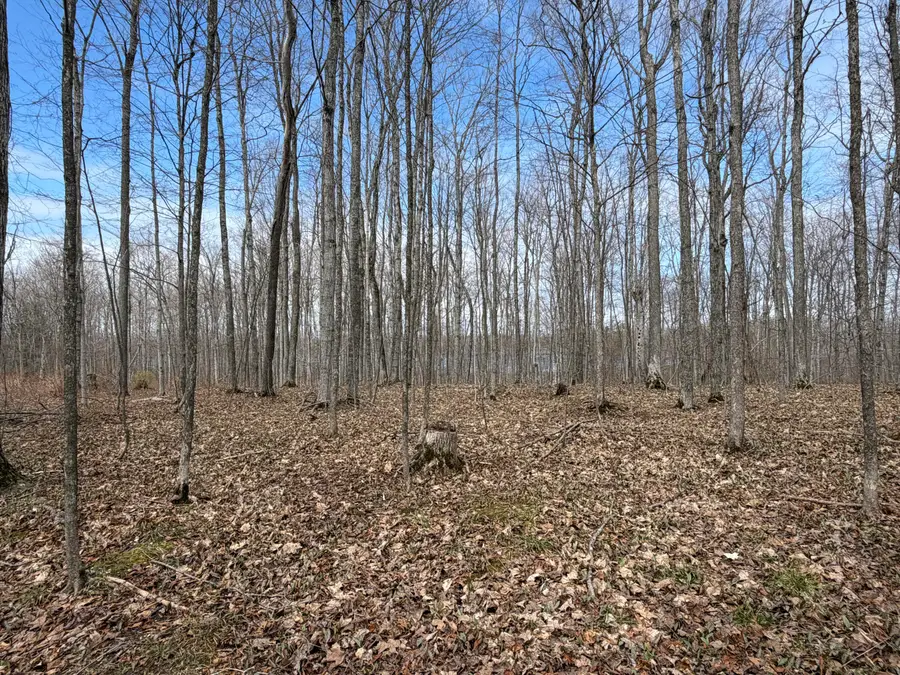 Lots 14-15 Sugar Ridge Lane, Carp Lake, MI 49718 - #3