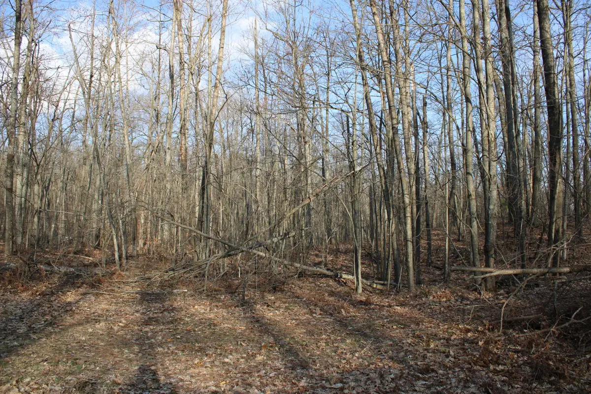 Parcel 1 Hardy Grade Road, Fairview, MI 48621 - #1