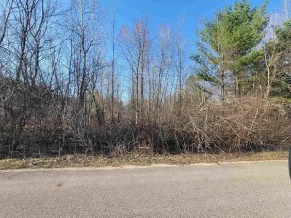 0.50 AC Maple Street, Gladwin, MI 48624