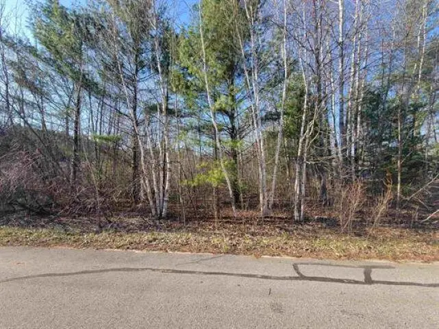 0.50 AC Maple Street, Gladwin, MI 48624 - #3