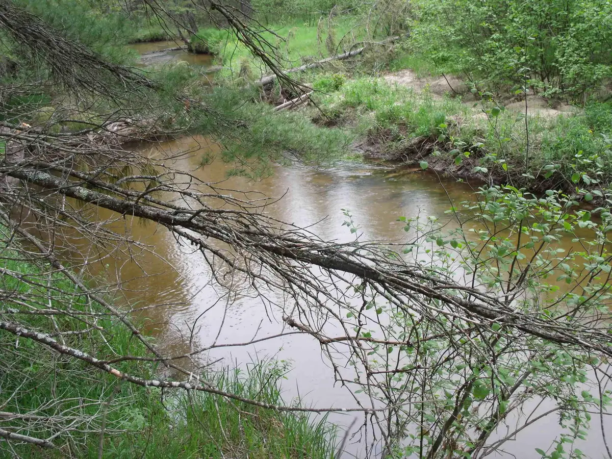 Par 17 Spikehorn Trail, Indian River, MI 49749 - #1