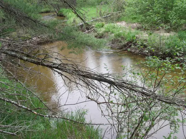 Par 17 Spikehorn Trail, Indian River, MI 49749