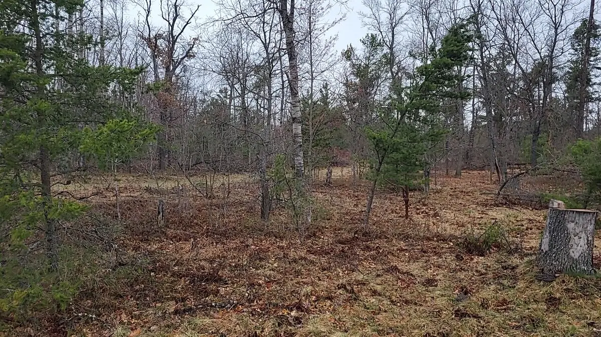 4031 Diamond Drive, Grayling, MI 49738 - #1