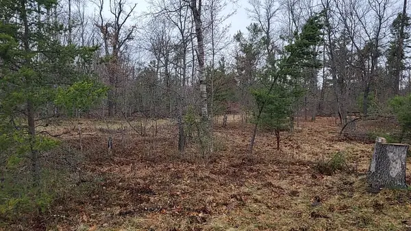 4031 Diamond Drive, Grayling, MI 49738