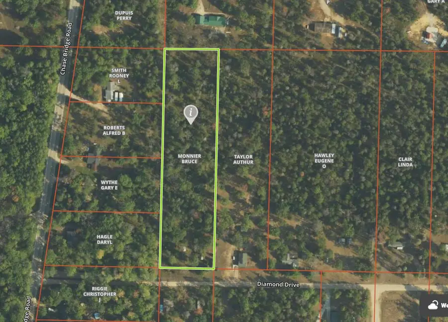 4031 Diamond Drive, Grayling, MI 49738 - #2