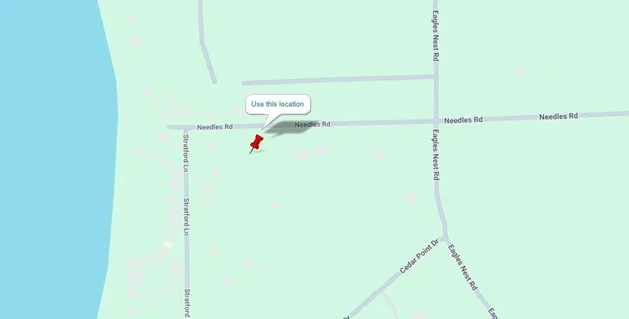 6809 Needles Road, Indian River, MI 49749 - #2