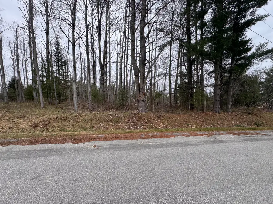 6809 Needles Road, Indian River, MI 49749 - #3