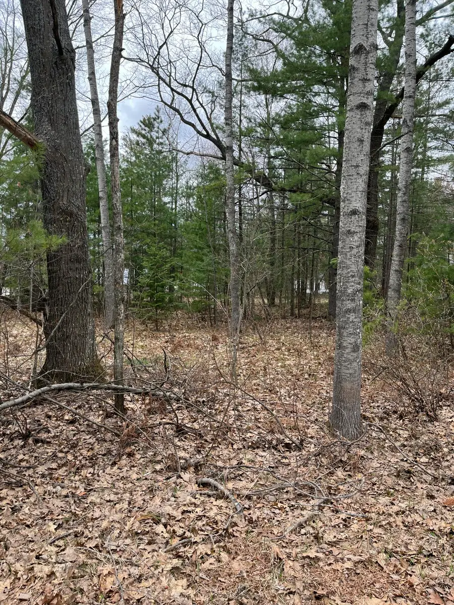 Lot 17 Circle Dr, Gaylord, MI 49735 - #3