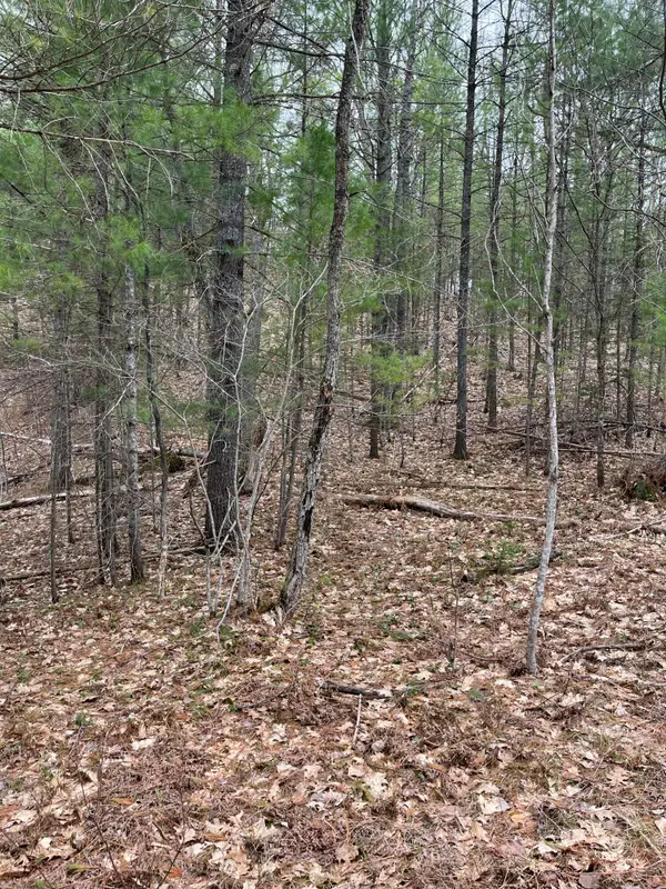 2687 Birchcrest Drive, Kalkaska, MI 49646