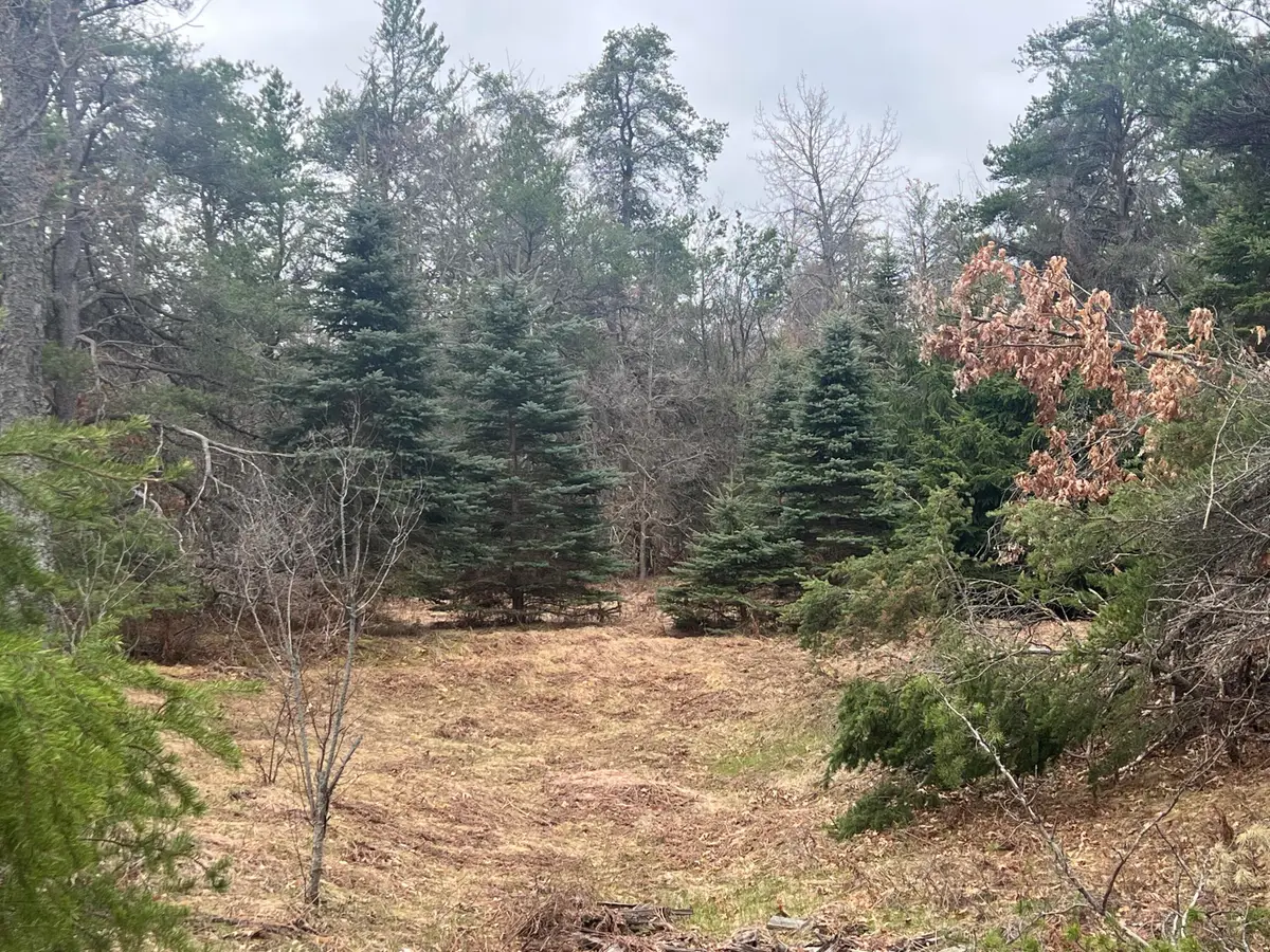 32 AC E Railroad Trail, Grayling, MI 49738 - #1