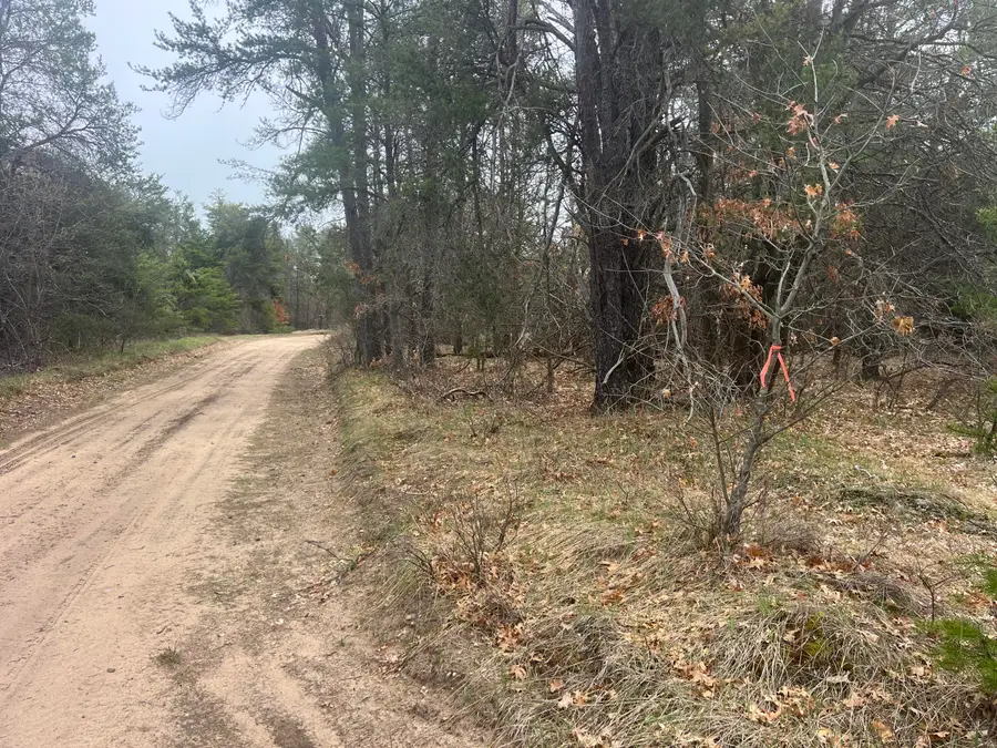32 AC E Railroad Trail, Grayling, MI 49738 - #3