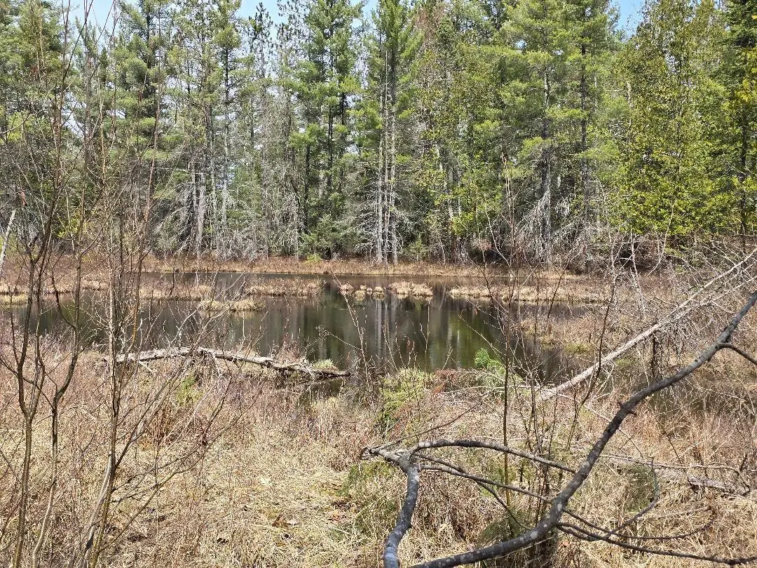 13991 Royston Road, Hawks, MI 49743 - #1