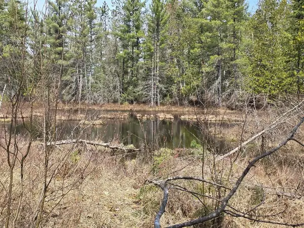 13991 Royston Road, Hawks, MI 49743
