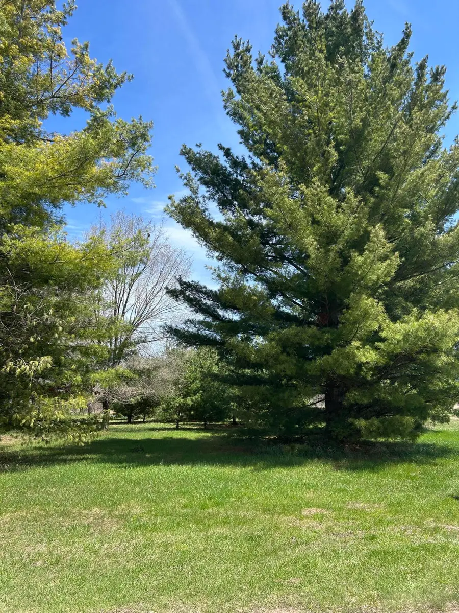 Lot 30 Vaughn Trail, Oscoda, MI 48750 - #3