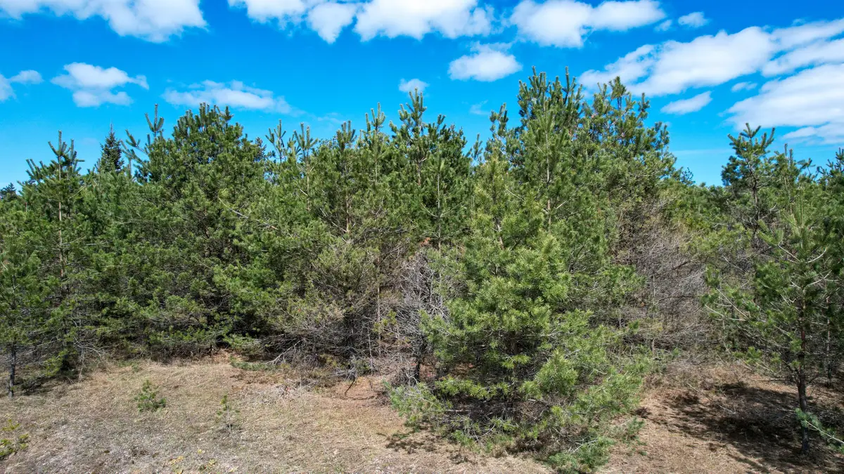 2.83 AC N Black River Road, Cheboygan, MI 49721 - #1
