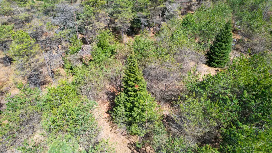 2.83 AC N Black River Road, Cheboygan, MI 49721 - #3
