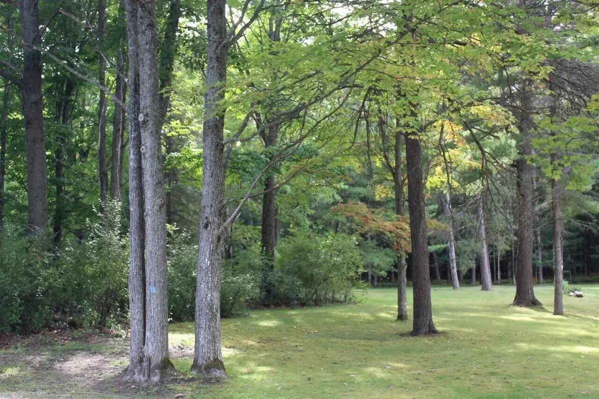 11831 Woody Road, Roscommon, MI 48653 - #1